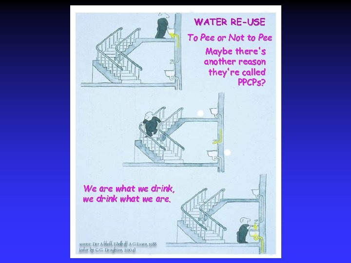 WATER RE-USE To Pee or Not to Pee Maybe there's another reason they're called
