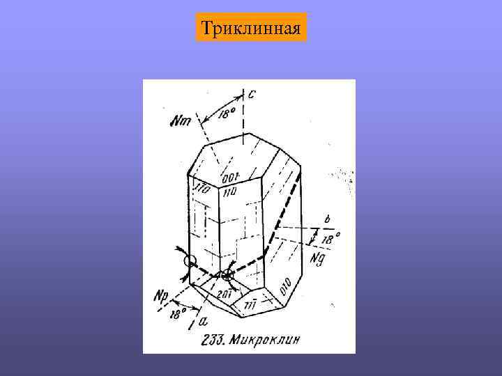 Триклинная 