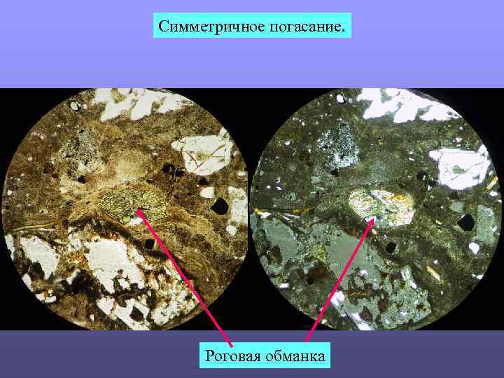 Симметричное погасание. Роговая обманка 