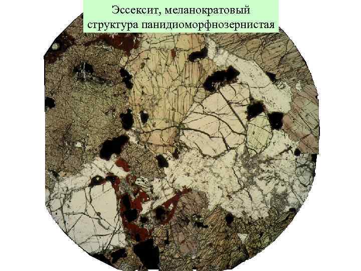 Эссексит, меланократовый структура панидиоморфнозернистая 