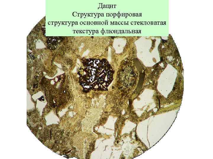 Дацит Структура порфировая структура основной массы стекловатая текстура флюидальная 