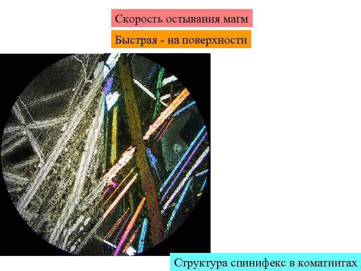 Скорость остывания магм Быстрая - на поверхности Структура спинифекс в коматиитах 