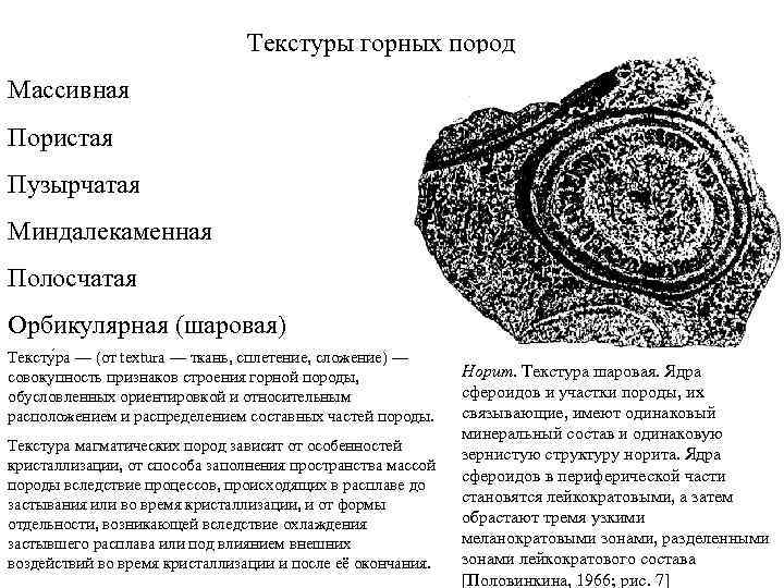 Текстуры горных пород Массивная Пористая Пузырчатая Миндалекаменная Полосчатая Орбикулярная (шаровая) Тексту ра — (от