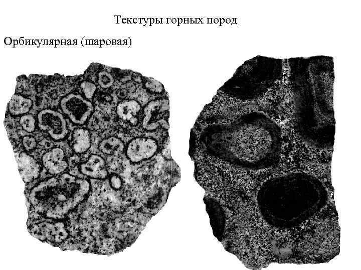 Текстуры горных пород Орбикулярная (шаровая) 