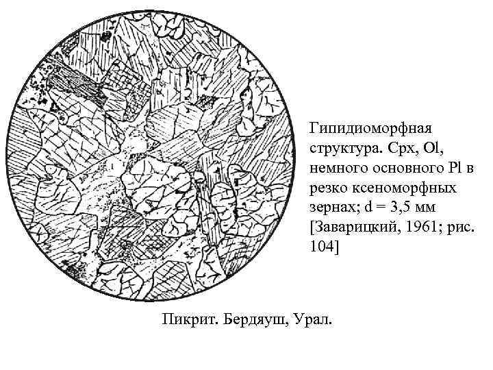 Гипидиоморфная структура. Cpx, Ol, немного основного Pl в резко ксеноморфных зернах; d = 3,