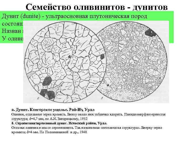 Семейство оливинитов - дунитов Дунит (dunite) ультраосновная плутоническая пород состоящая из оливина; второстепенный минерал