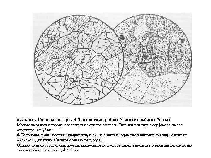 а. Дунит. Соловьева гора. Н-Тагильский район, Урал (с глубины 500 м) Мономинеральная порода, состоящая