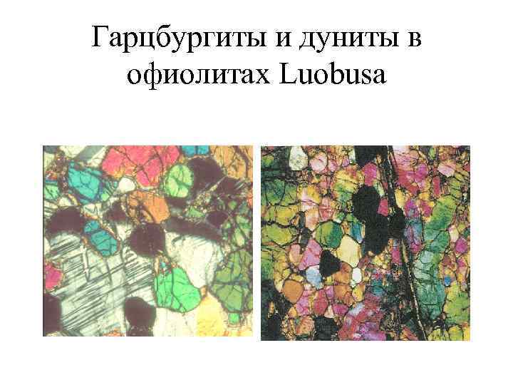 Гарцбургиты и дуниты в офиолитах Luobusa 