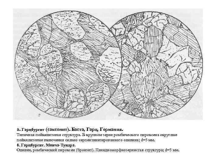 а. Гарцбургит (саксонит). Баста, Гарц, Германия. Типичная пойкилитовая структура. В крупном зерне ромбического пироксена