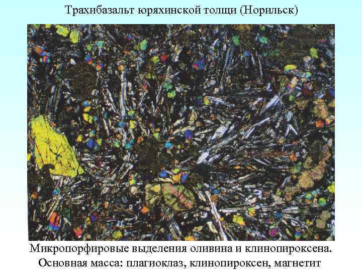 Трахибазальт юряхинской толщи (Норильск) Микропорфировые выделения оливина и клинопироксена. Основная масса: плагиоклаз, клинопироксен, магнетит