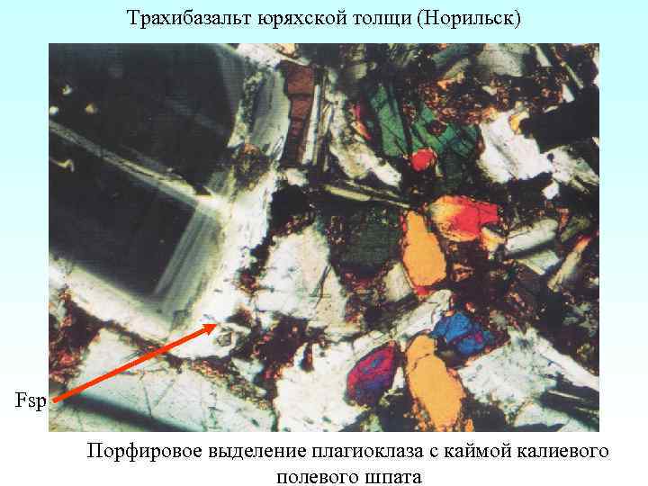 Трахибазальт юряхской толщи (Норильск) Fsp Порфировое выделение плагиоклаза с каймой калиевого полевого шпата 