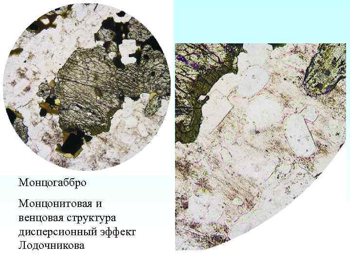 Монцогаббро Монцонитовая и венцовая структура дисперсионный эффект Лодочникова 