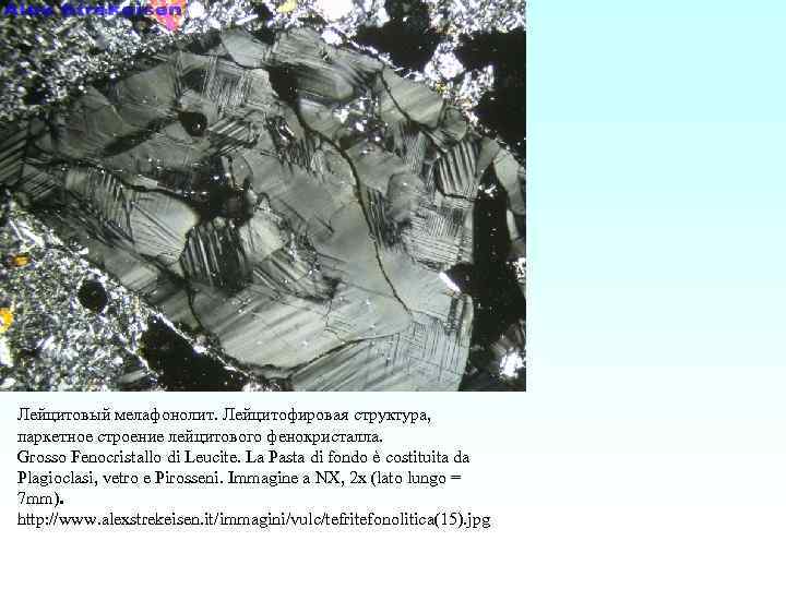Лейцитовый мелафонолит. Лейцитофировая структура, паркетное строение лейцитового фенокристалла. Grosso Fenocristallo di Leucite. La Pasta