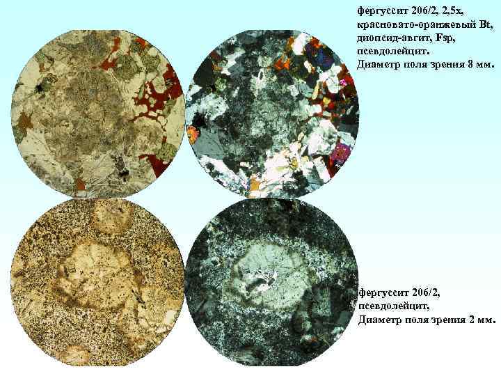 фергуссит 206/2, 2, 5 х, красновато-оранжевый Bt, диопсид-авгит, Fsp, псевдолейцит. Диаметр поля зрения 8