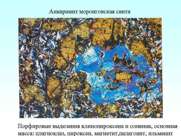 Анкарамит моронговская свита Порфировые выделения клинопироксена и оливина, основная масса: плагиоклаз, пироксен, магнетит, палагонит,