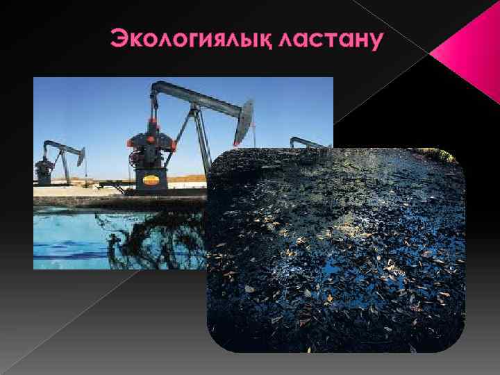 Экологиялық ластану 