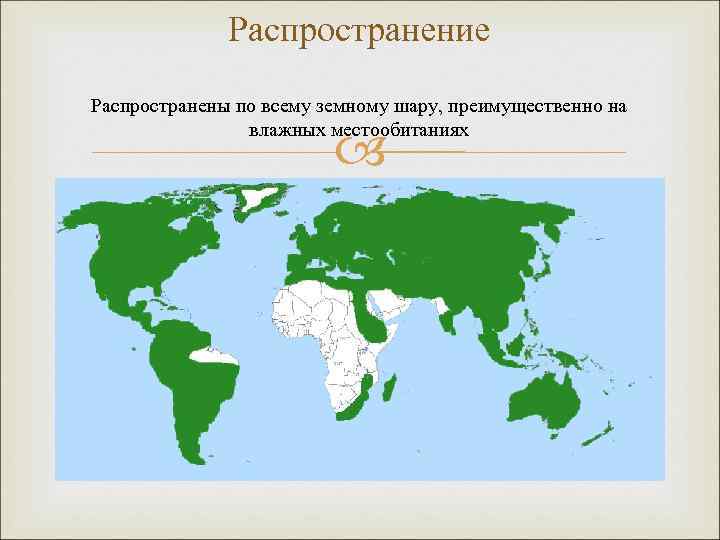 Определить распространение. Распространение. Распространение кактусов карта. Распространение растений по всему земному шару. Распространение лепры на земном шаре.