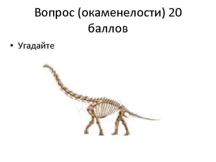 Вопрос (окаменелости) 20 баллов • Угадайте 