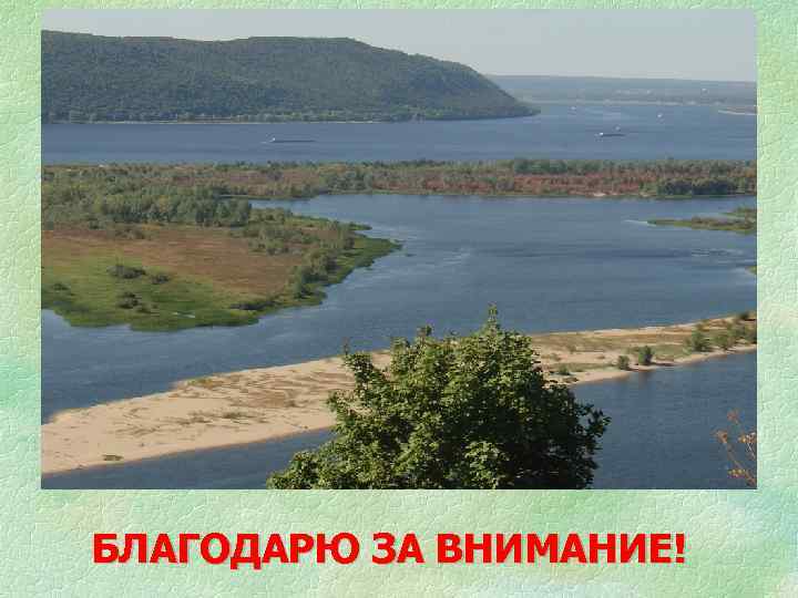 БЛАГОДАРЮ ЗА ВНИМАНИЕ! 