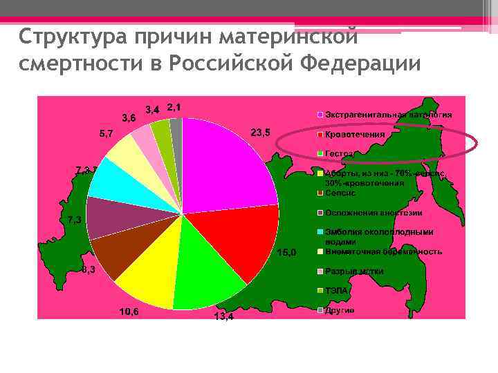 Причины материнской смертности. Структура причин материнской смертности. Структура причин материнской смертности в России. Структура смертности в РФ. Структура материнской смертности в мире.