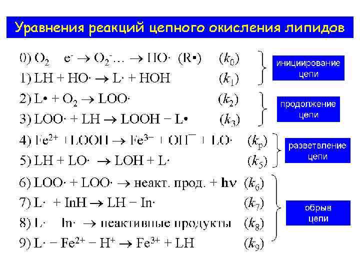 Свободные реакции. Биологическая роль реакций свободнорадикального окисления. Схема реакции свободнорадикального окисления. Реакция свободнорадикального окисления. Свободнорадикального окисления олеиновой кислоты.