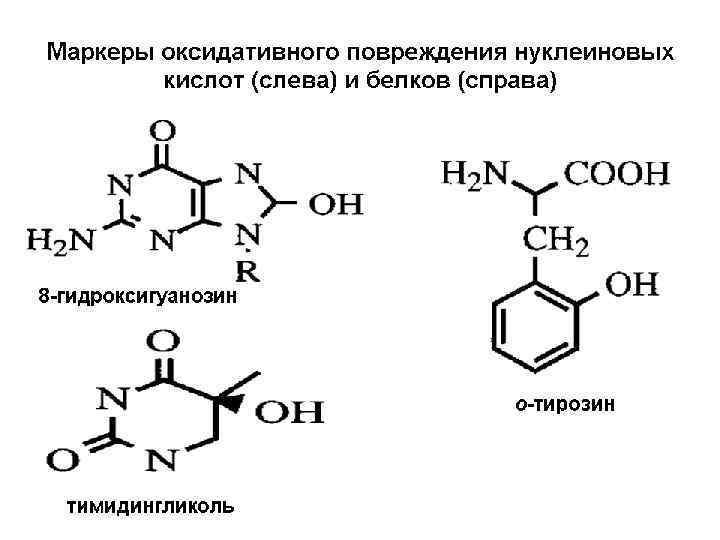 Свободнорадикальное окисление. Свободнорадикальное окисление схема. Свободнорадикальное окисление белков. Реакции свободного окисления.