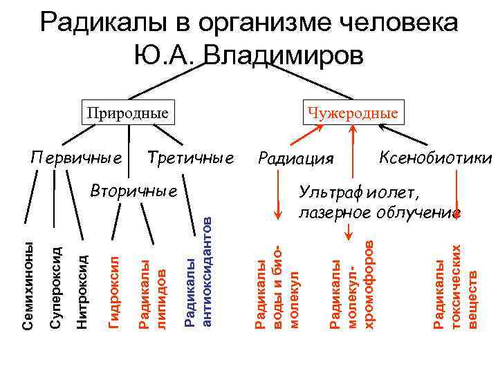 Вторичные Радиация Радикалы токсических веществ Природные Радикалы молекулхромофоров Третичные Радикалы воды и биомолекул Радикалы