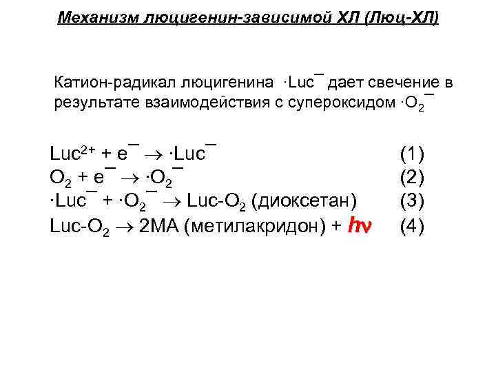 Механизм люцигенин-зависимой ХЛ (Люц-ХЛ) Катион-радикал люцигенина ∙Luc¯ дает свечение в результате взаимодействия с супероксидом