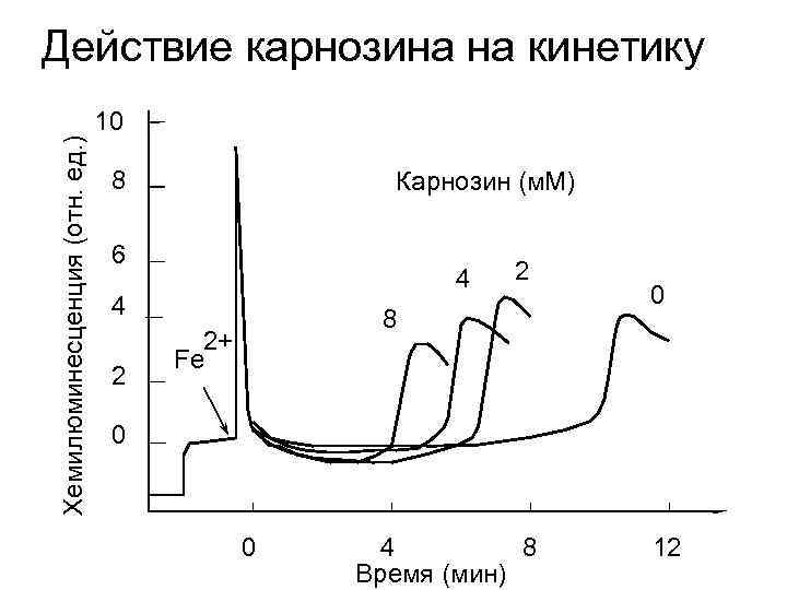 Хемилюминесценция (отн. ед. ) Действие карнозина на кинетику 10 8 Карнозин (м. М) 6