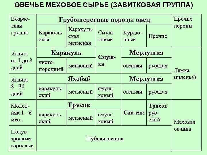 ОВЕЧЬЕ МЕХОВОЕ СЫРЬЕ (ЗАВИТКОВАЯ ГРУППА) Возрастная группа Ягнята от 1 до 8 дней Ягнята