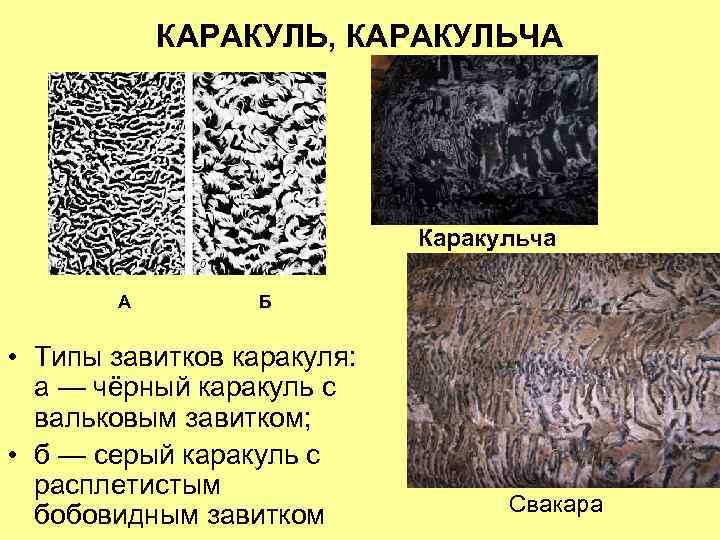КАРАКУЛЬ, КАРАКУЛЬЧА Каракульча А Б • Типы завитков каракуля: а — чёрный каракуль с