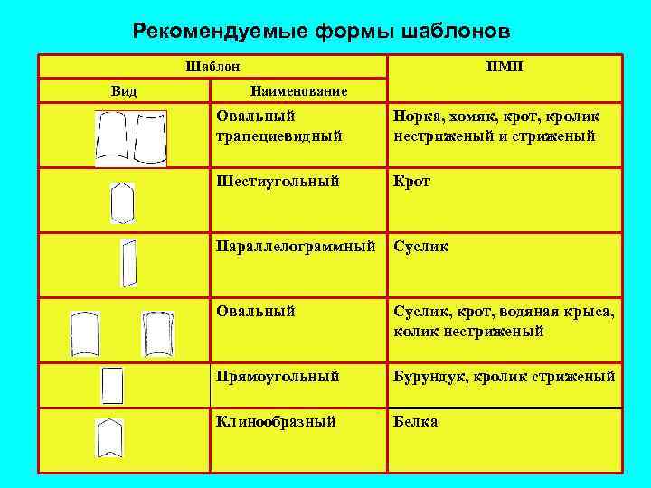 Рекомендуемые формы шаблонов Шаблон Вид ПМП Наименование Овальный трапециевидный Норка, хомяк, крот, кролик нестриженый