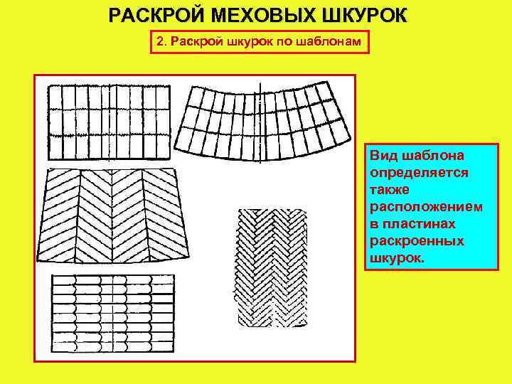 РАСКРОЙ МЕХОВЫХ ШКУРОК 2. Раскрой шкурок по шаблонам Вид шаблона определяется также расположением в