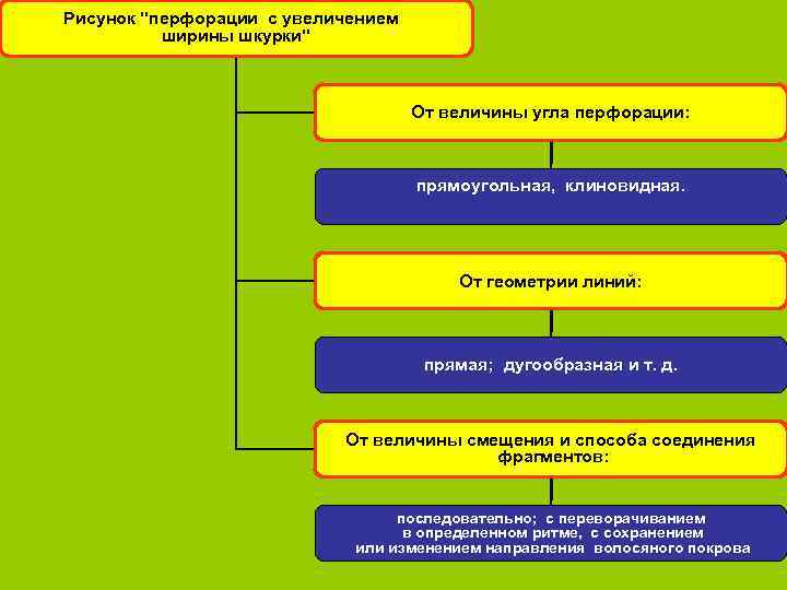 Рисунок 