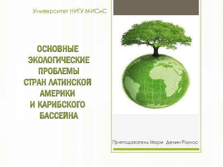 Университет НИТУ МИСи. С Преподаватель Мари Делин Рамос 