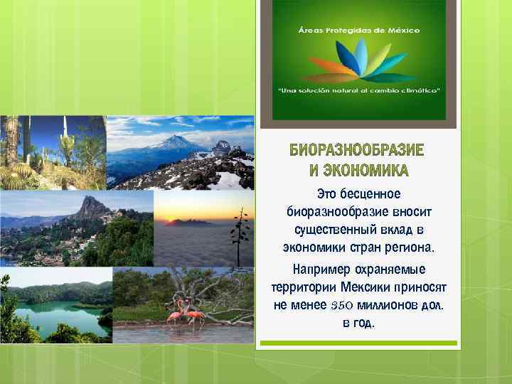 Это бесценное биоразнообразие вносит существенный вклад в экономики стран региона. Например охраняемые территории Мексики