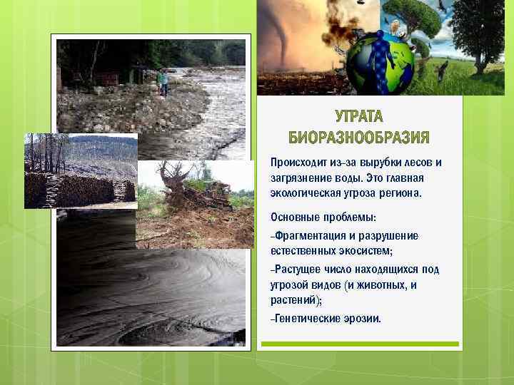 Происходит из-за вырубки лесов и загрязнение воды. Это главная экологическая угроза региона. Основные проблемы: