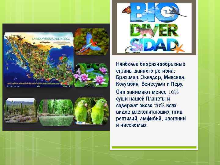 Наиболее биоразнообразные страны данного региона: Бразилия, Эквадор, Мексика, Колумбия, Венесуэла и Перу. Они занимают