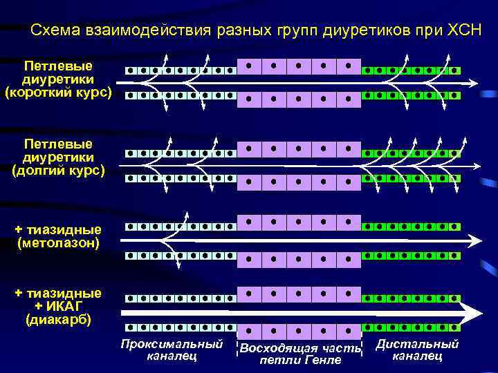 Диакарб при хсн схема