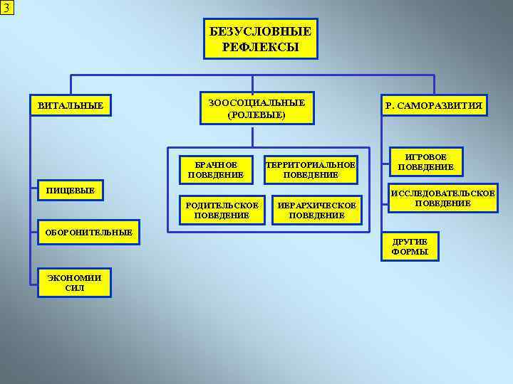 3 БЕЗУСЛОВНЫЕ РЕФЛЕКСЫ ВИТАЛЬНЫЕ ЗООСОЦИАЛЬНЫЕ (РОЛЕВЫЕ) БРАЧНОЕ ПОВЕДЕНИЕ ТЕРРИТОРИАЛЬНОЕ ПОВЕДЕНИЕ ПИЩЕВЫЕ РОДИТЕЛЬСКОЕ ПОВЕДЕНИЕ ОБОРОНИТЕЛЬНЫЕ