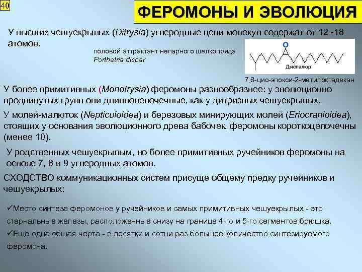 40 ФЕРОМОНЫ И ЭВОЛЮЦИЯ У высших чешуекрылых (Ditrysia) углеродные цепи молекул содержат от 12