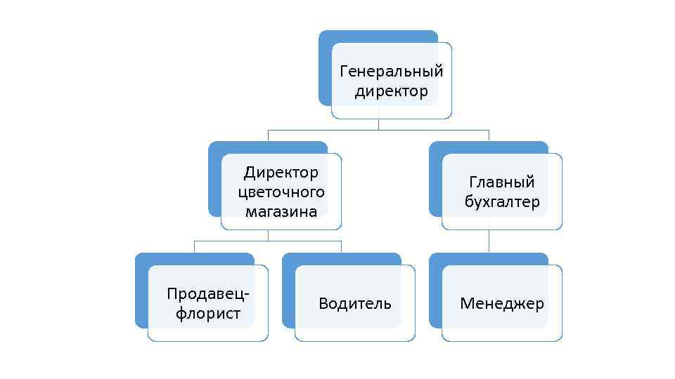 Генеральный директор Директор цветочного магазина Продавецфлорист Водитель Главный бухгалтер Менеджер 