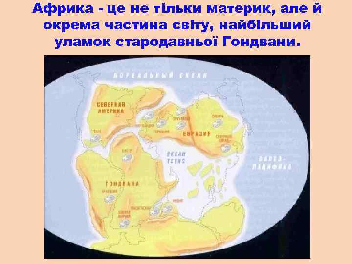 Африка - це не тільки материк, але й окрема частина світу, найбільший уламок стародавньої