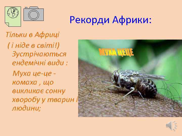 Рекорди Африки: Тільки в Африці ( і ніде в світі!) Зустрічаються ендемічні види :