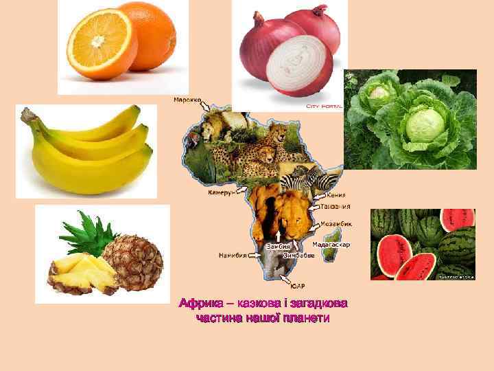 Африка – казкова і загадкова частина нашої планети 