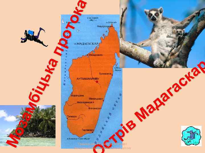 Мо зам біц ьк ап ро то ка ів р т с Гришельова Т.