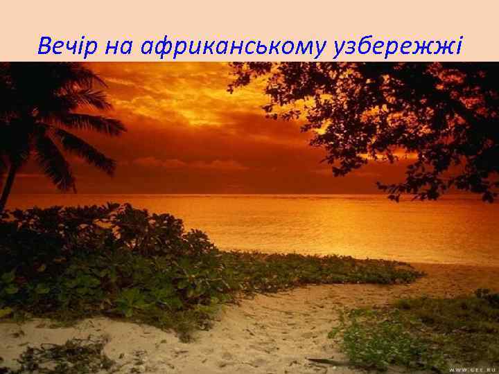 Вечір на африканському узбережжі 