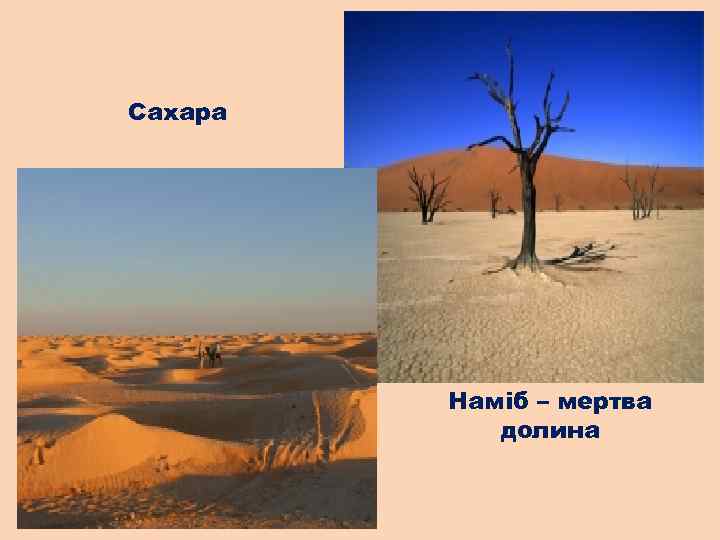 Сахара Наміб – мертва долина 