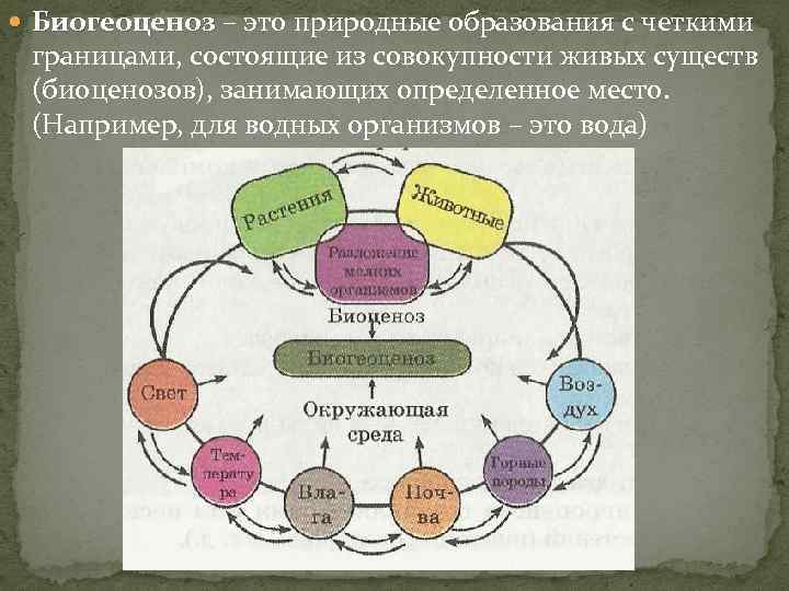  Биогеоценоз – это природные образования с четкими границами, состоящие из совокупности живых существ