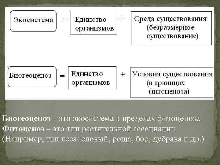 Биогеоценоз – это экосистема в пределах фитоценоза Фитоценоз – это тип растительной ассоциации (Например,